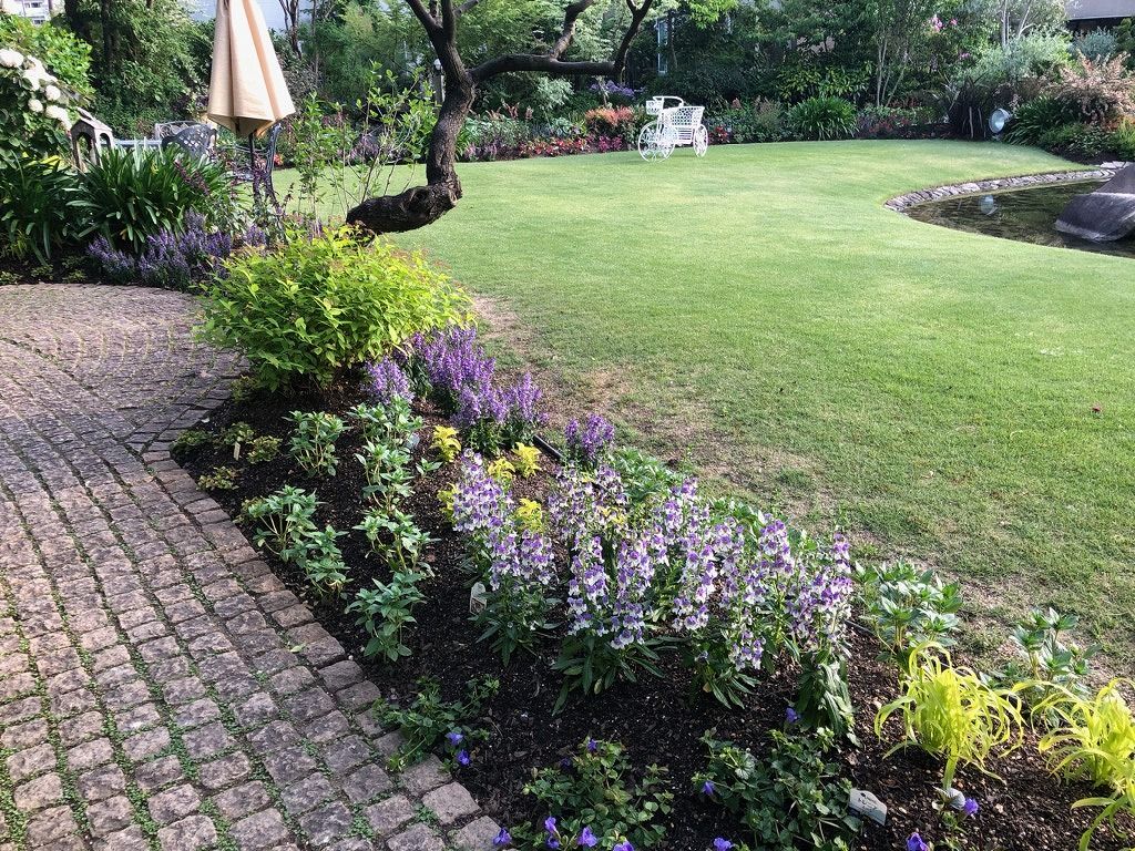 夏花壇に植え替え