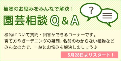 5月28日「園芸相談Q&amp;A」機能を追加します！