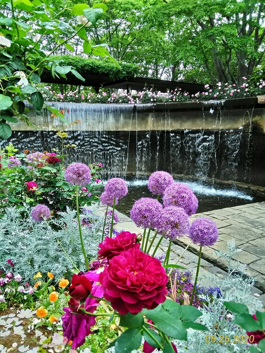 水戸植物園