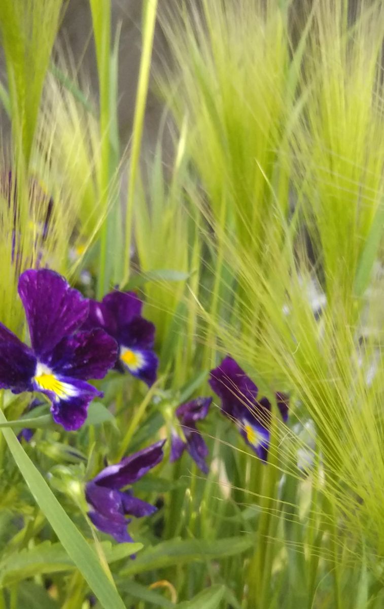 ５月 最終日