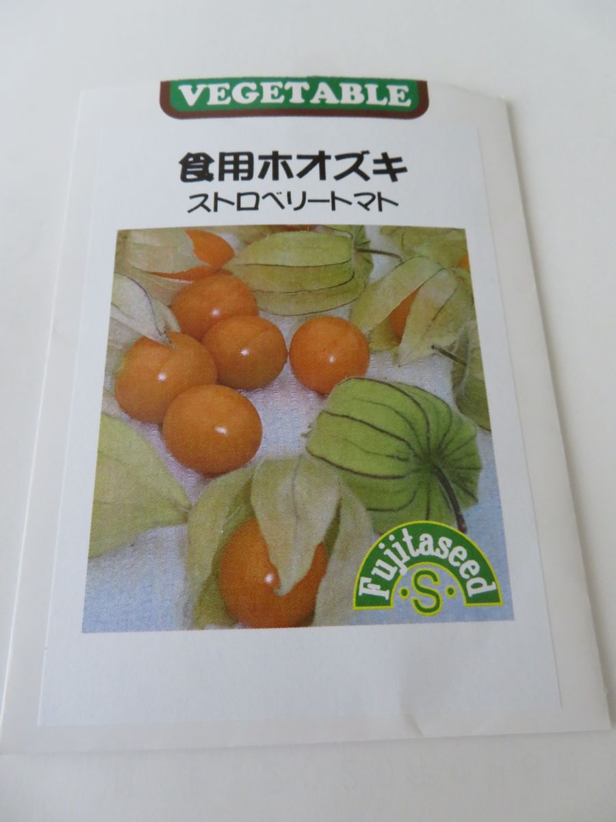 初めての「食用ほうずき」が発芽しました。