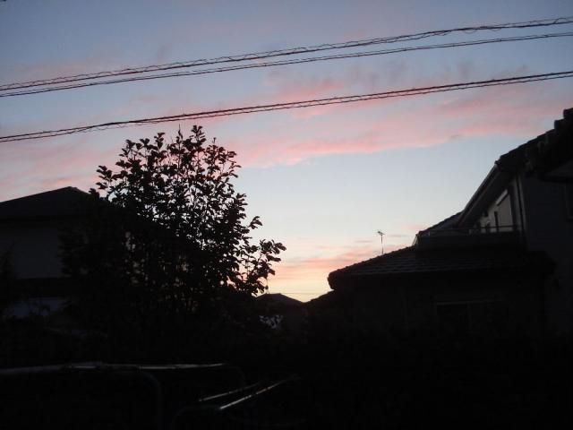 素敵な夕焼け