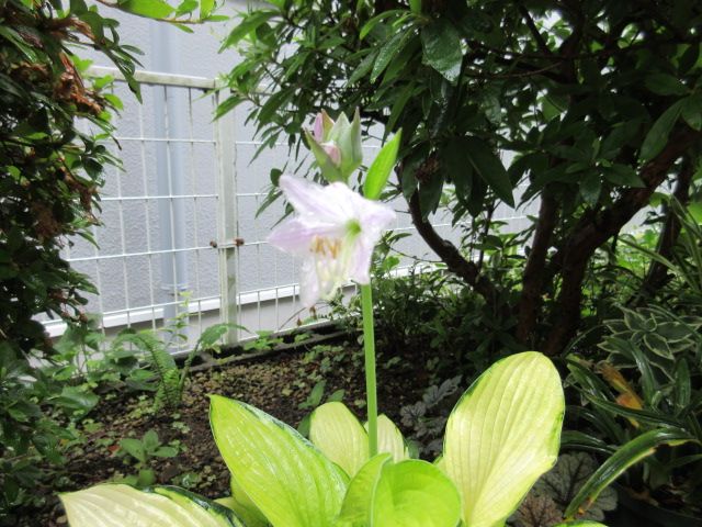 大雨早くやんで！！