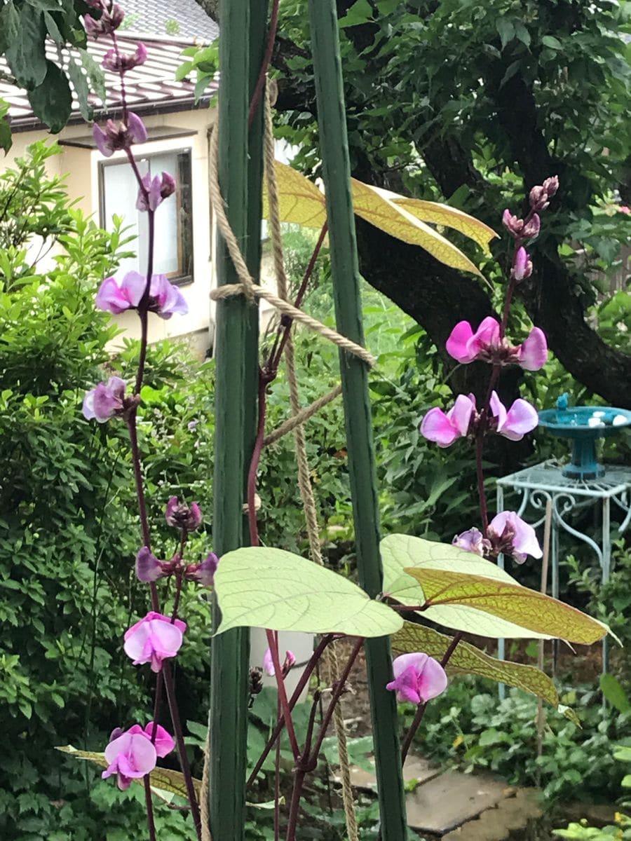 雨のち曇り