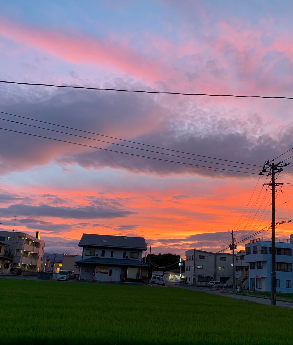 『自宅からの一瞬の夕焼け💠白ユリ』〜南西庭〜