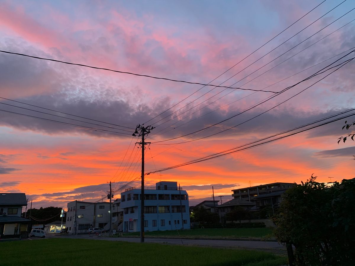 『自宅からの一瞬の夕焼け💠白ユリ』〜南西庭〜