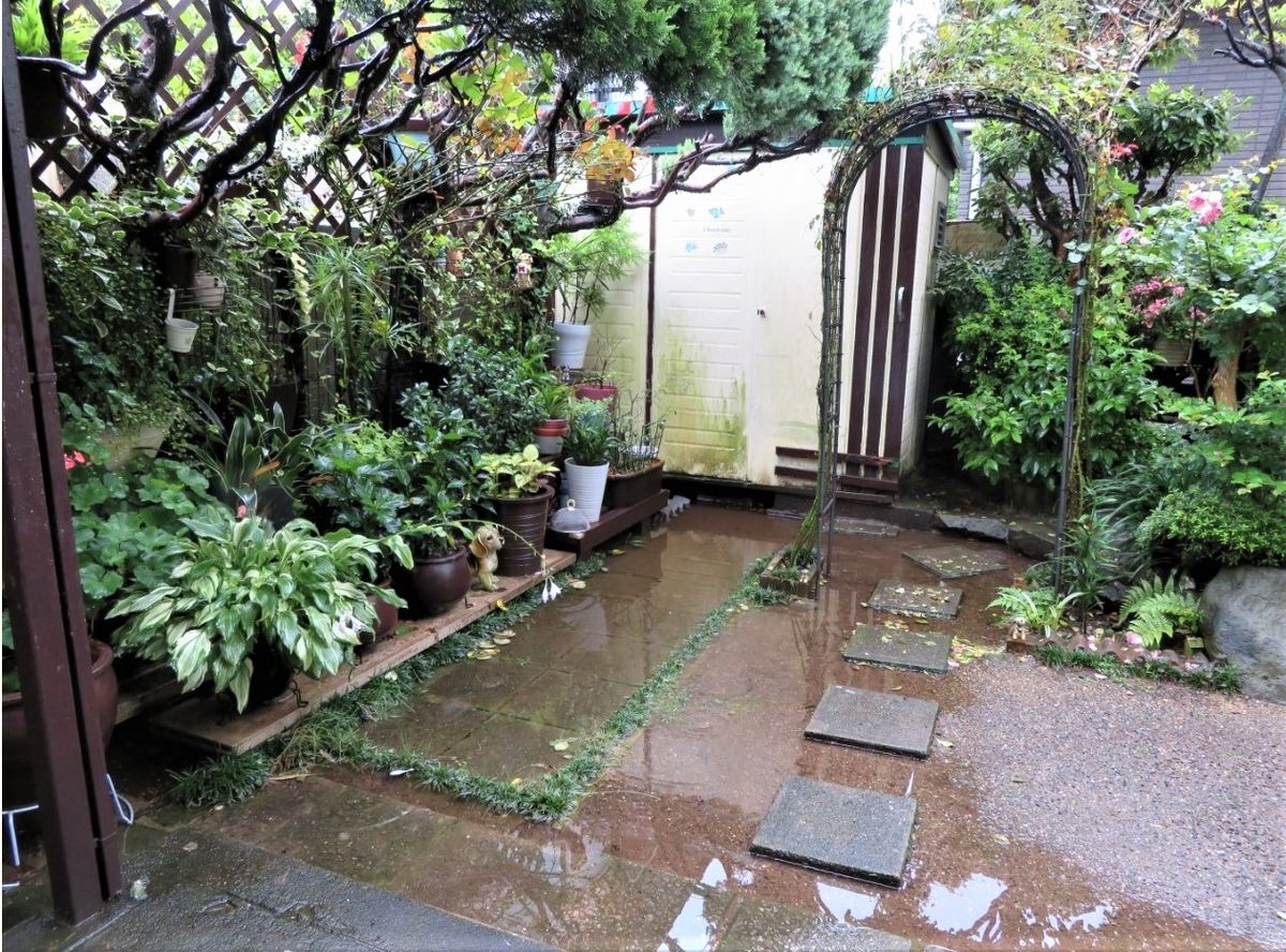 ☔雨が降り続く庭先では