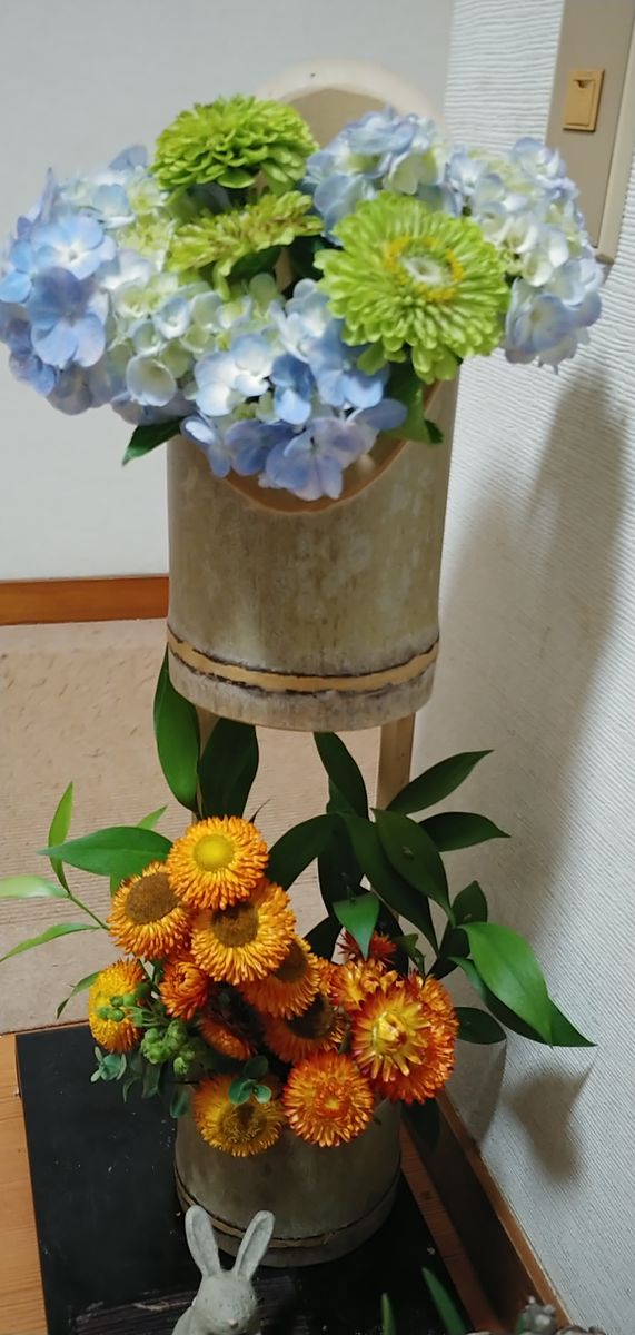 今日の花