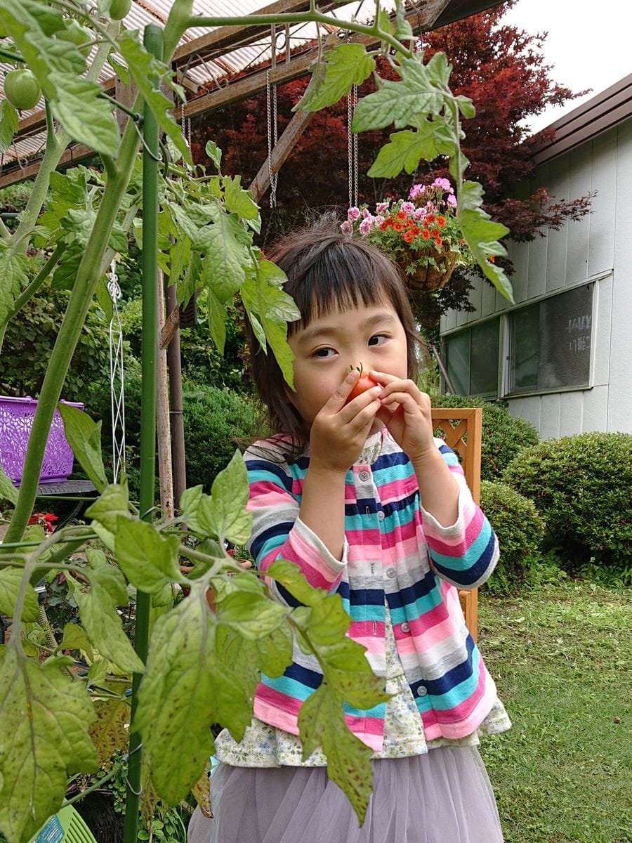 太陽が恋しい