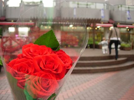 「赤い薔薇似合ってるよ」