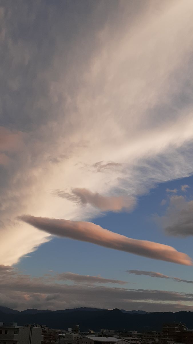 ふくおかルーバルガーデン3～夏🌺👒の***  庭便り～今にも落ちてきそうな雲☁️😳