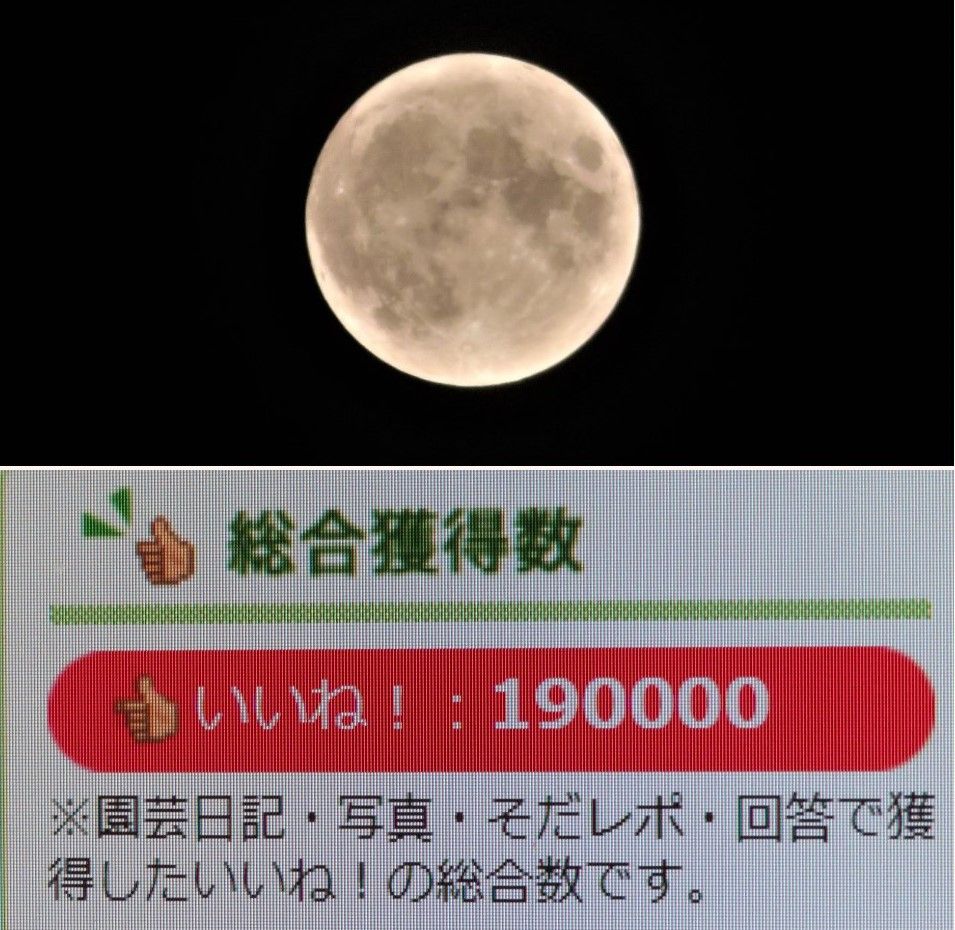 🌕満月・スタージャンムーン🌕