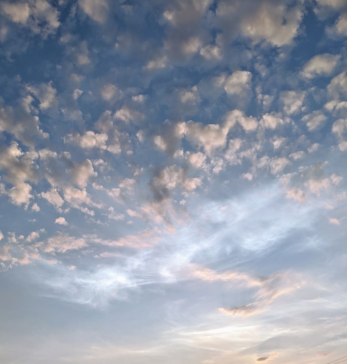 夕暮れの空&ヤモリ君