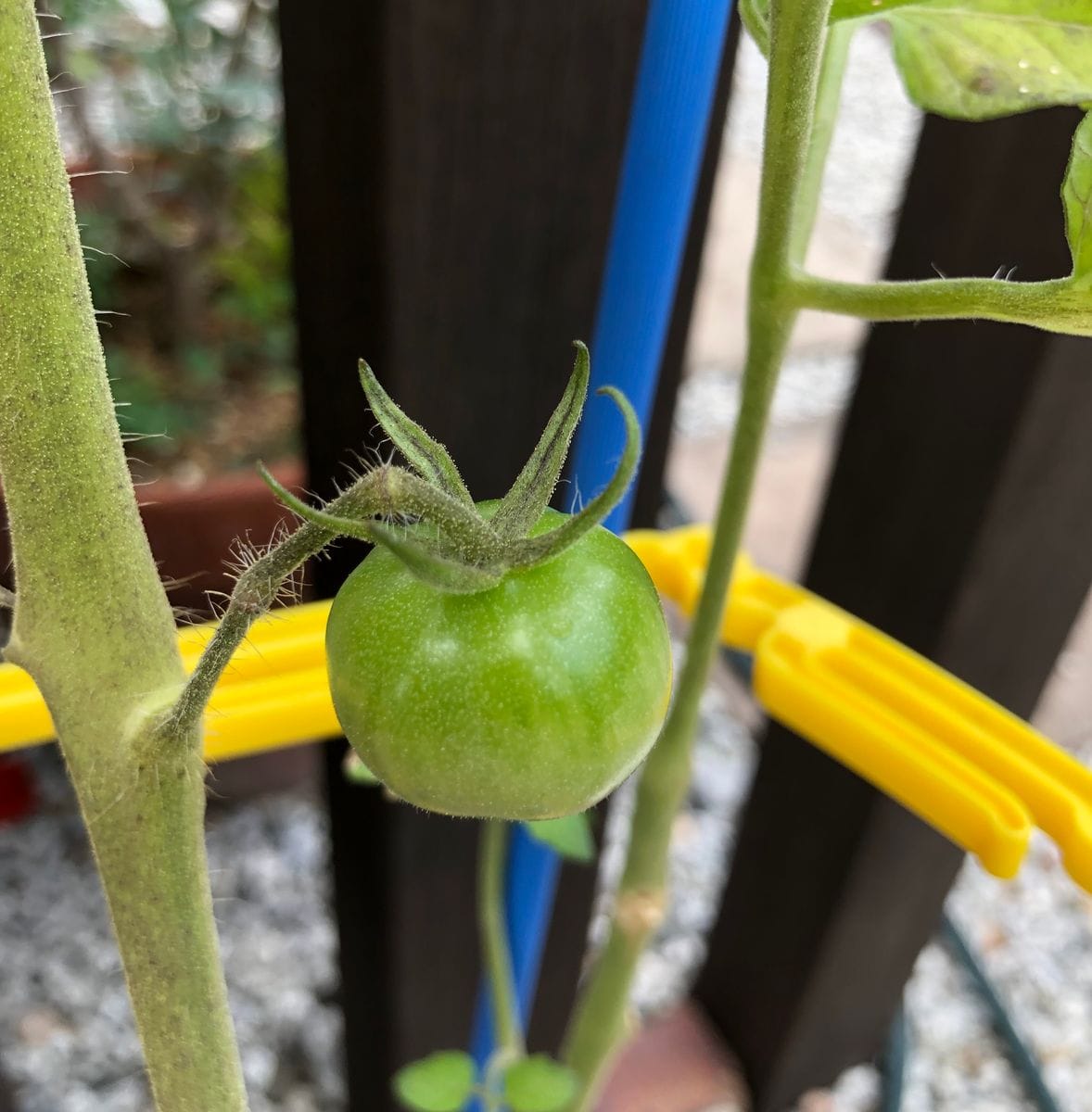 食べられちゃった〜