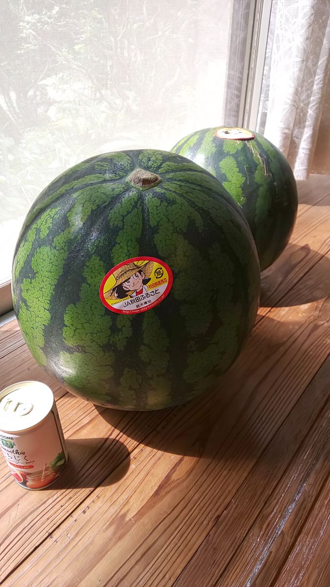 スイカをいただきました🍉