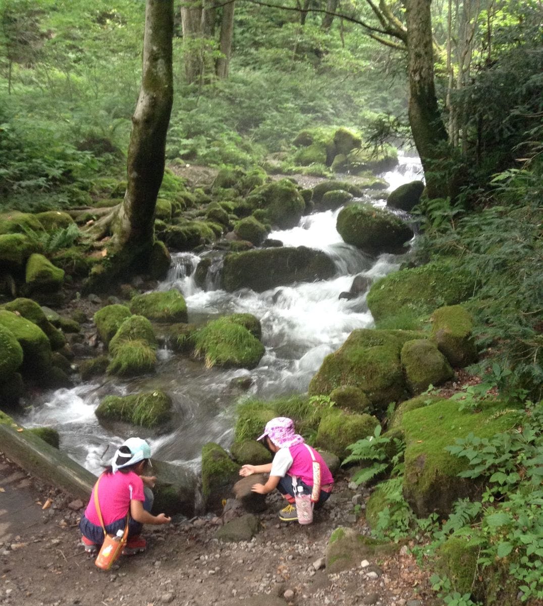 kentoraバラ園（奥大山）20.8.9