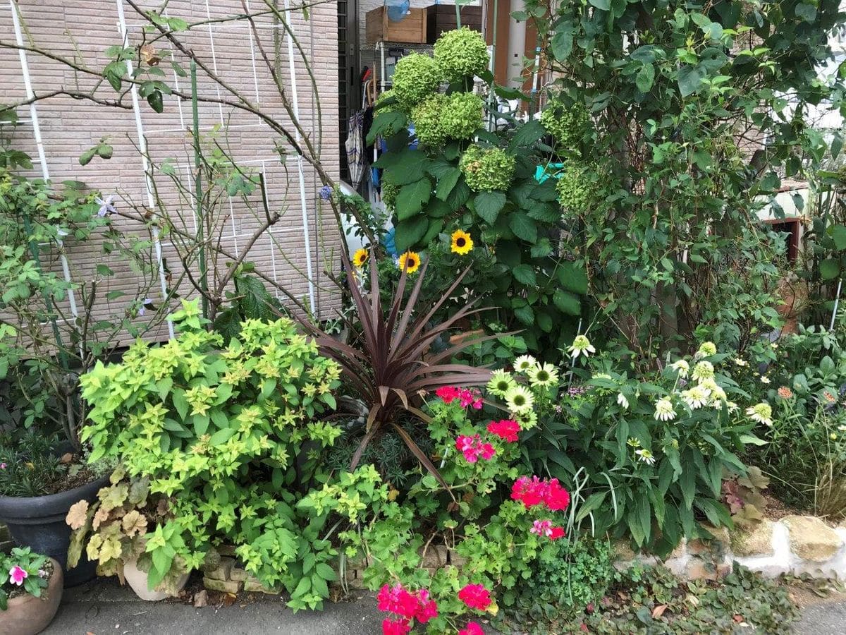 我が家の夏花壇