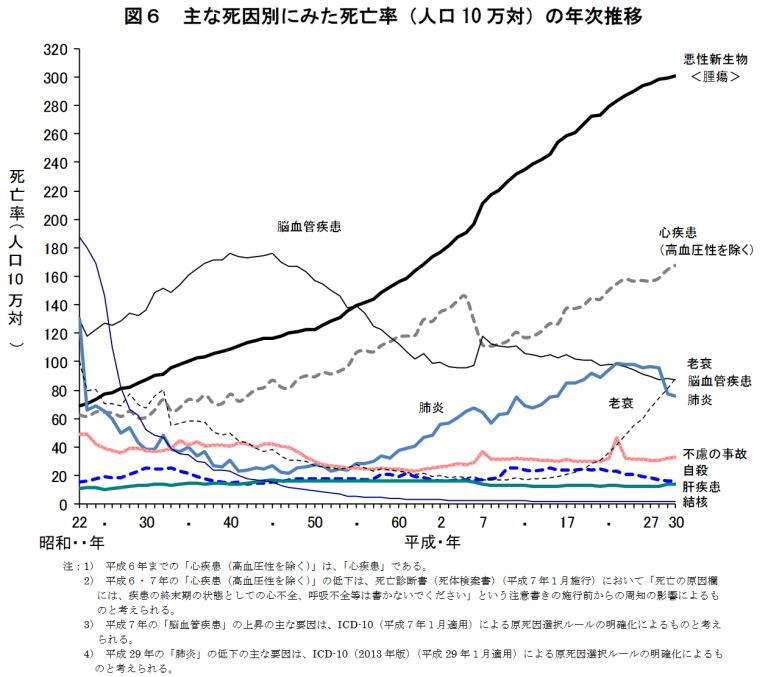 モミジ葉アオイ（白花）