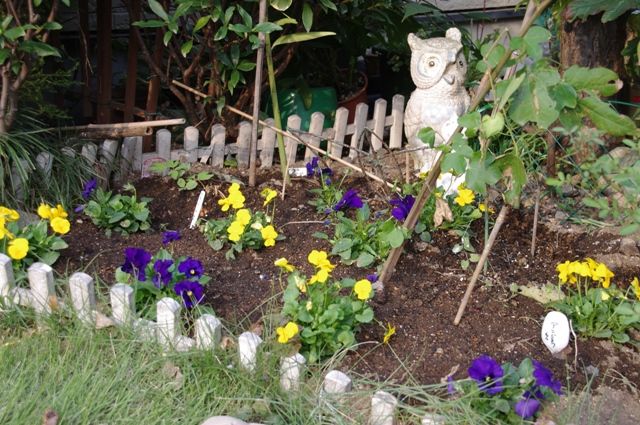 球根植え付け