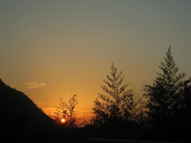 コキアとお花さん達、夕日。