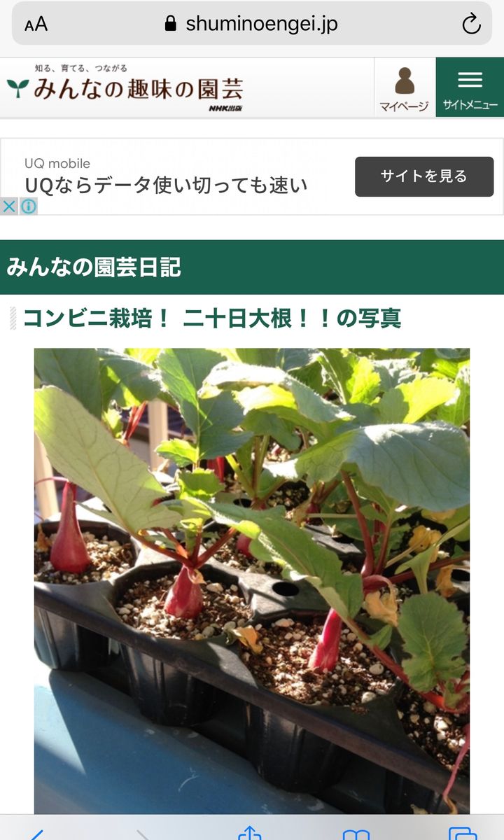 コンビニ栽培　　過去日記から〜