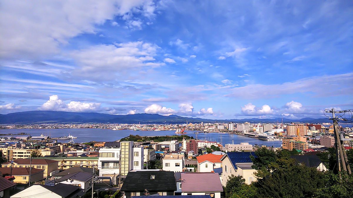 ４日ぶりの青空と花