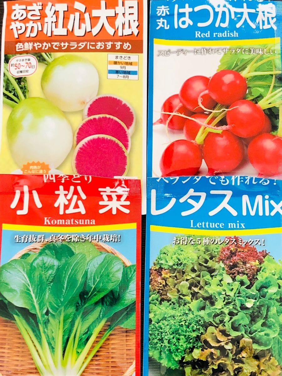 野菜の種蒔き🎵