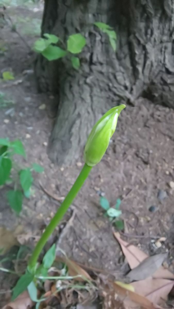 秋の気配🌾