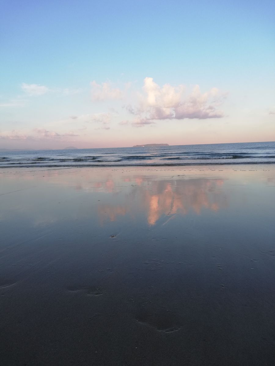 すっきり晴れました。今朝の海。アセロラ。コスモス。