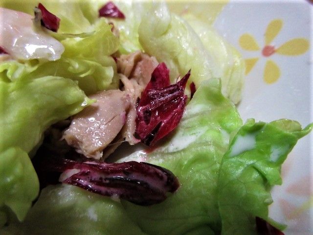 食欲そそる　赤いサラダ 🌺