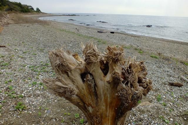 海岸の印象