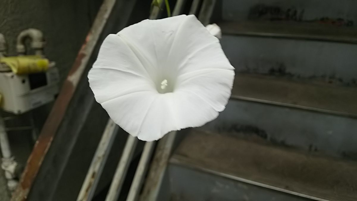 台風が🌀来るかな？