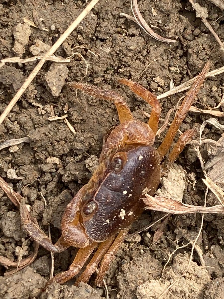 元気ですよー、ちゃんと生きてます。