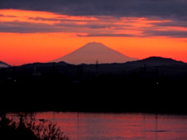 「ハゼの天麩羅が食べたい・・・」。ウォーキングMS⑧265日目(2790日目)