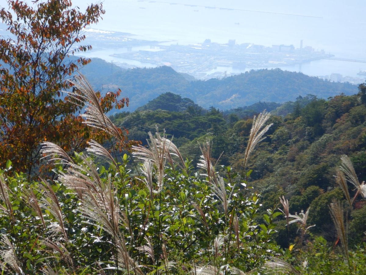 山に登ってきました