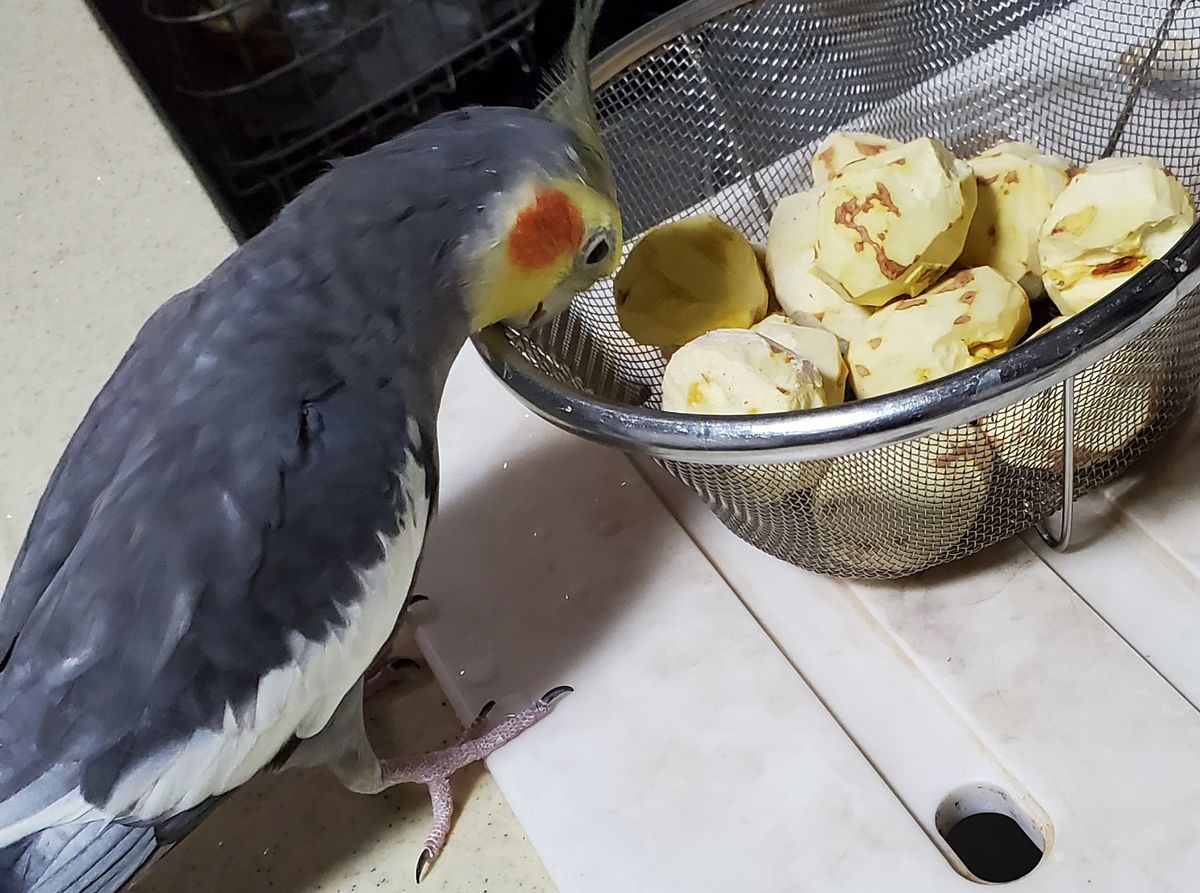 だから栗🌰は…💧