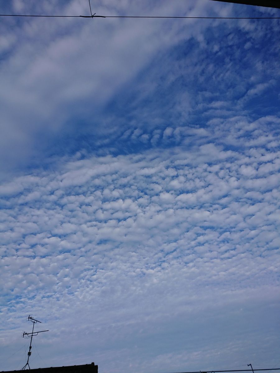 秋の香りと秋の空。