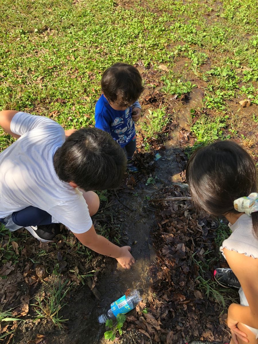 ３きょうだい、湧き水を発見！？