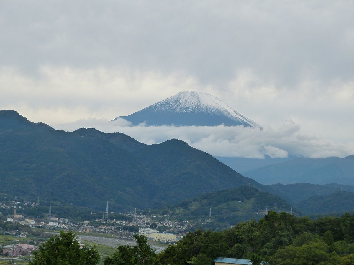 神奈川県・松田町「コキアの里」　2020-10-18