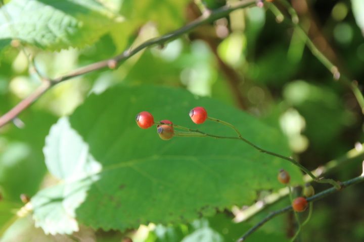 お花に囲まれて😊