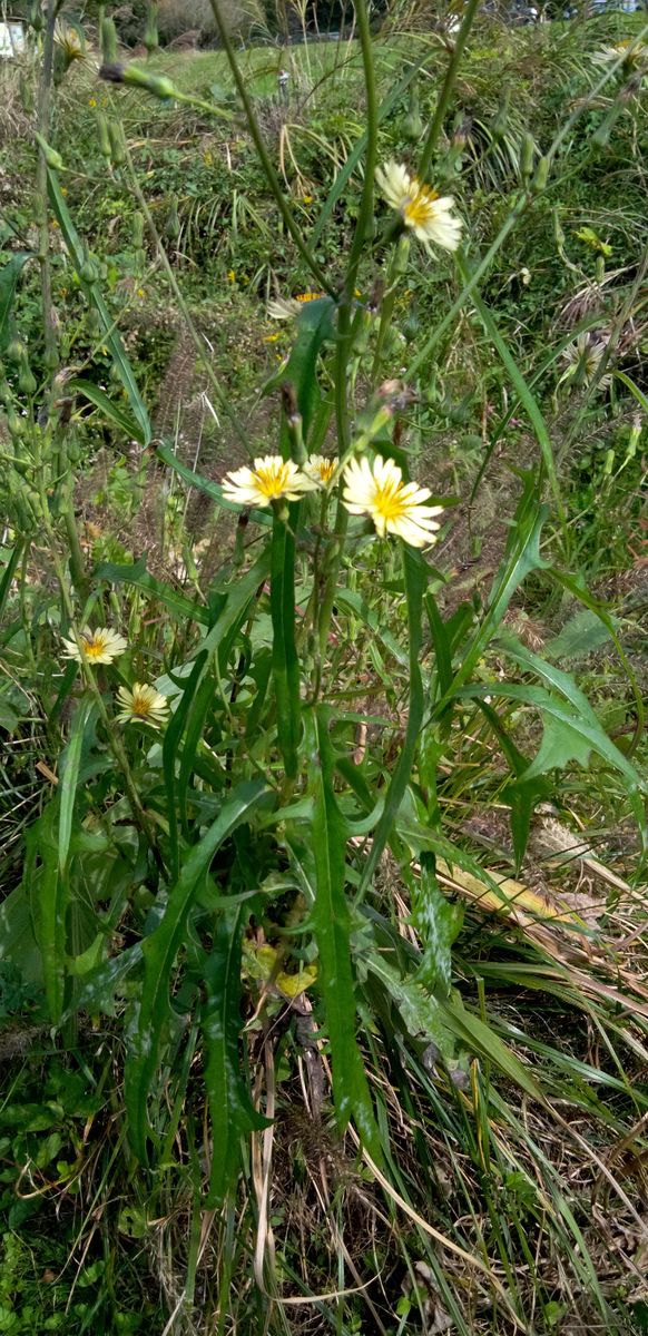 里山公園へお出かけ