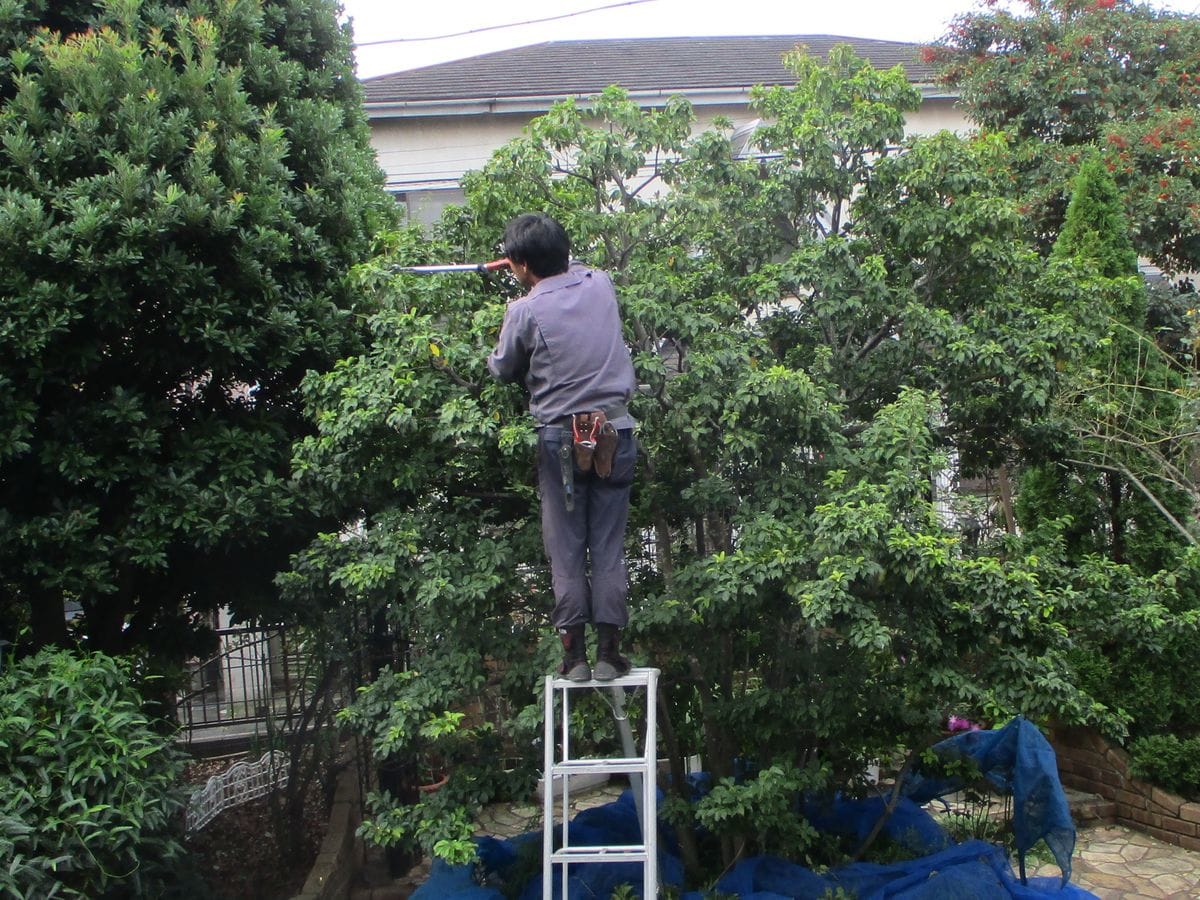 職人さんに依頼して