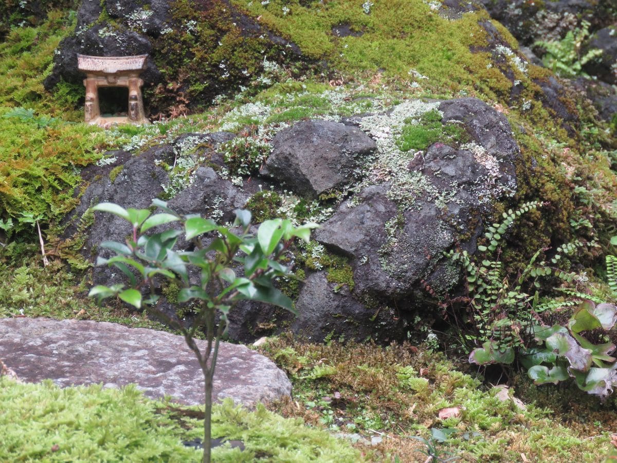 『縮景苔庭』