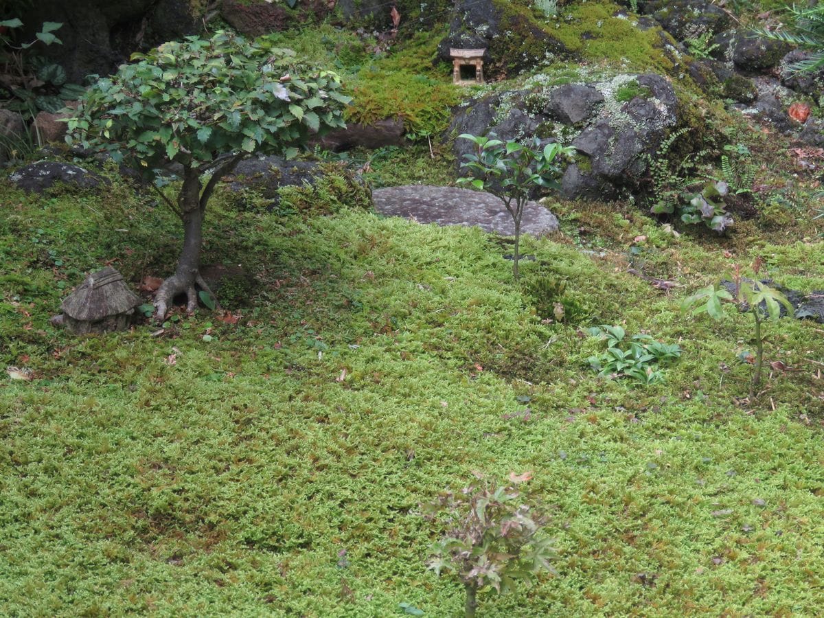 『縮景苔庭』