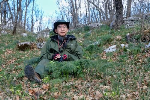 早春の植物散歩 ークリスマスローズと多肉植物の生産者を訪ねてー