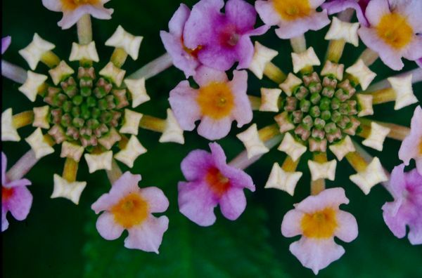 振り返り 想い出のフォトグラフ