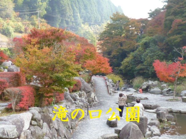 真紅に燃ゆる紅葉散策