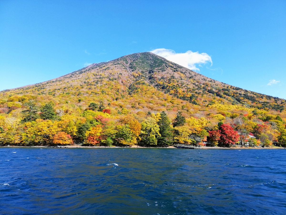 秋バラと紅葉の日光