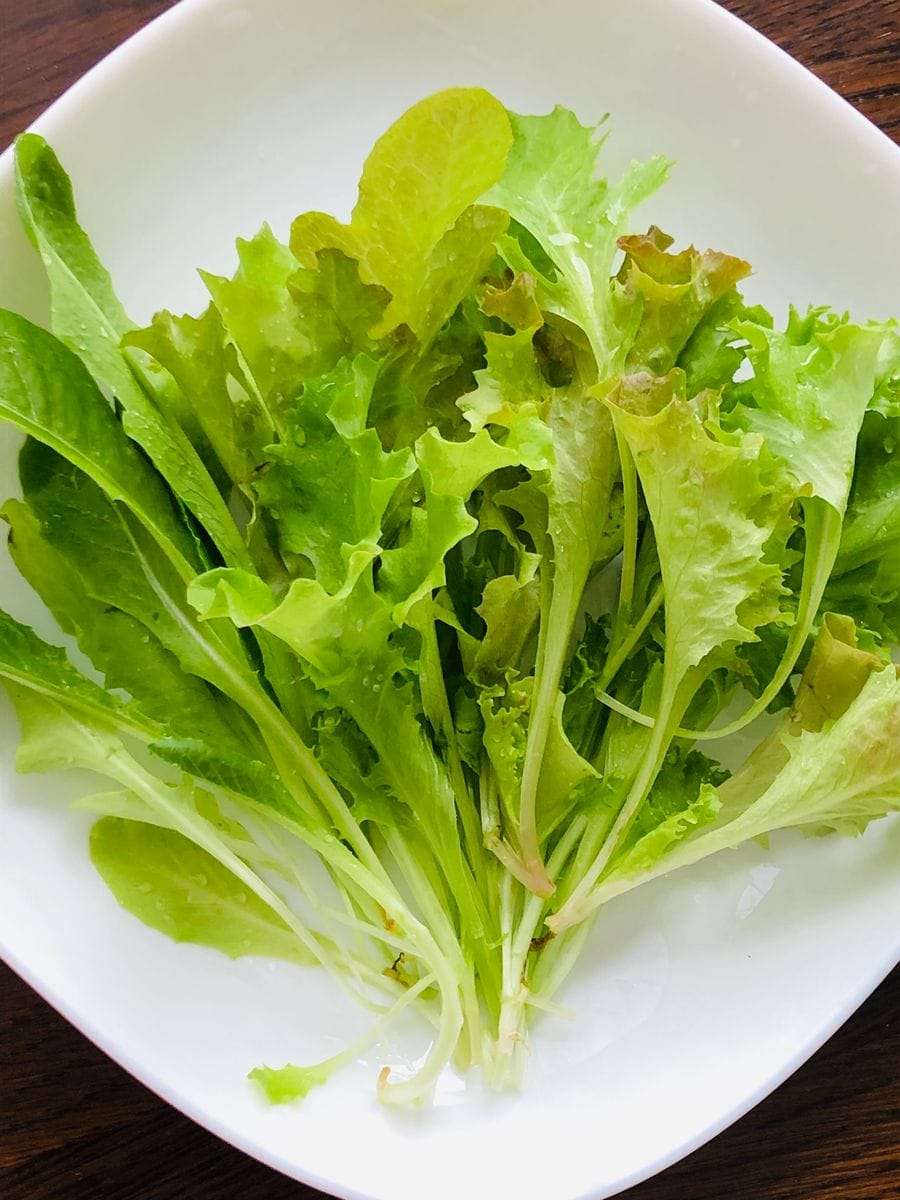 種蒔き野菜の収穫・続き🎵