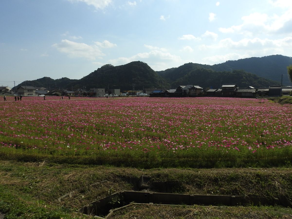 とことめの里一志